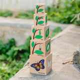 LIFECYCLE WOODEN BLOCKS