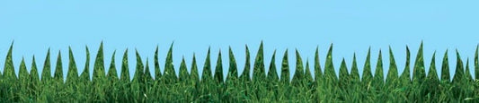 NATURAL GRASS DIE CUT BORDER 12 STRIPS