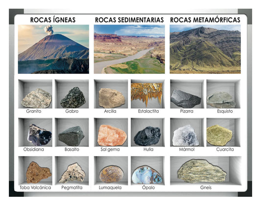 ANI ROCAS CARTEL #AC-C833