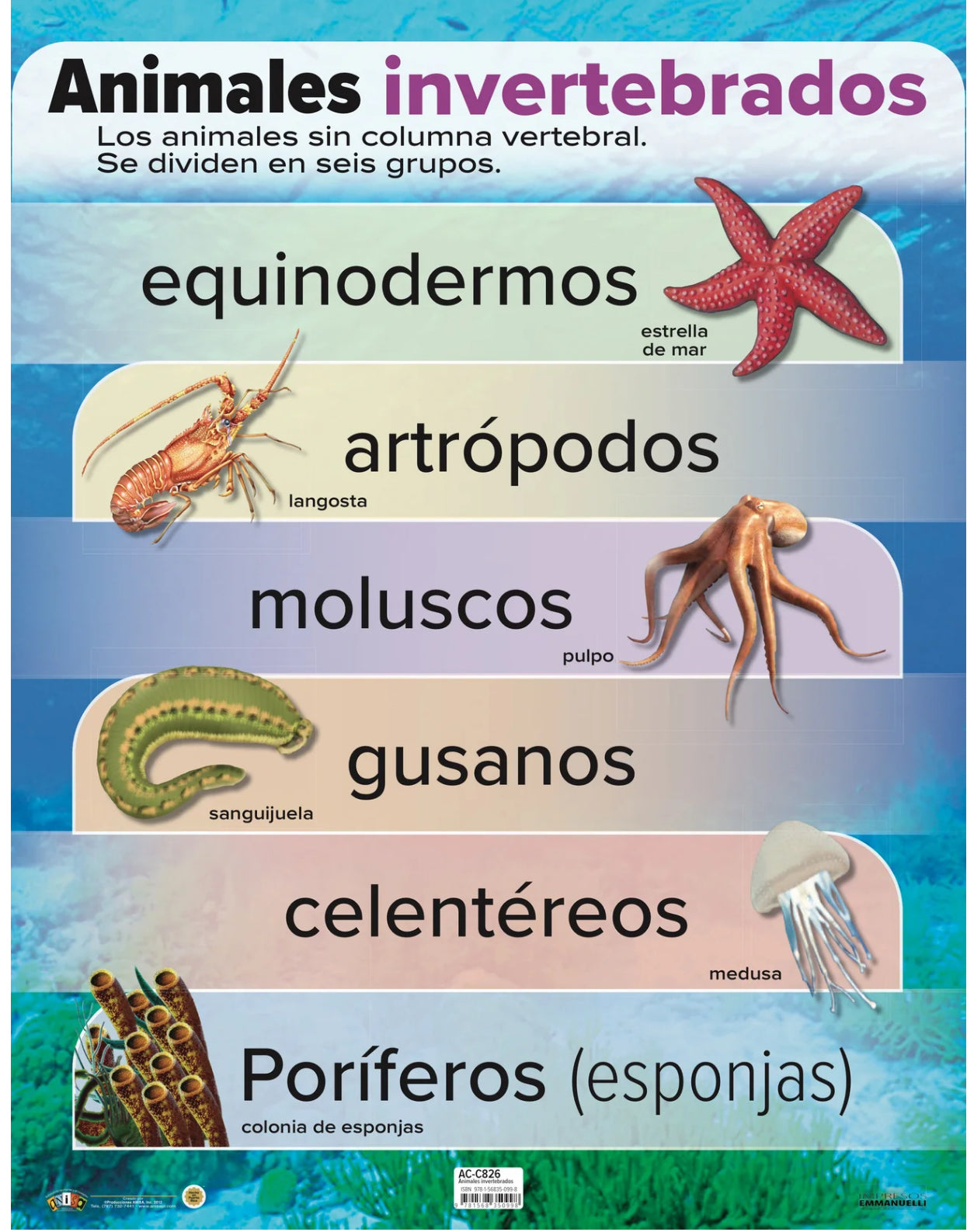 ANI CARTEL ANIMALES INVERTEBRADOS #AC-C826