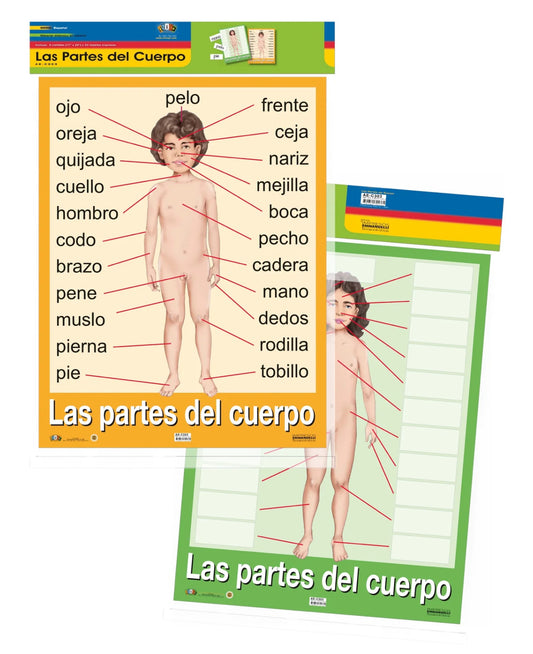 LAS PARTES DEL CUERPO CARTEL