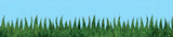 NATURAL GRASS DIE CUT BORDER 12 STRIPS