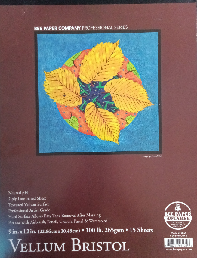 VELLUM BRISTOL PAPER 9 X 12