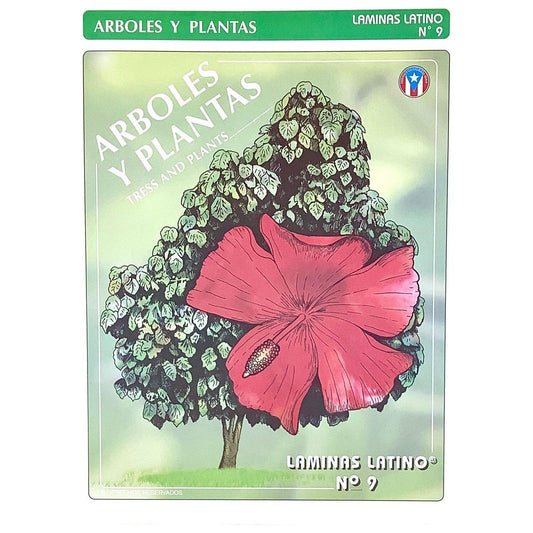 LAMINAS ARBOLES