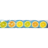 LEMON ZEST CITRUS SLICES DIE-CUT BORDER