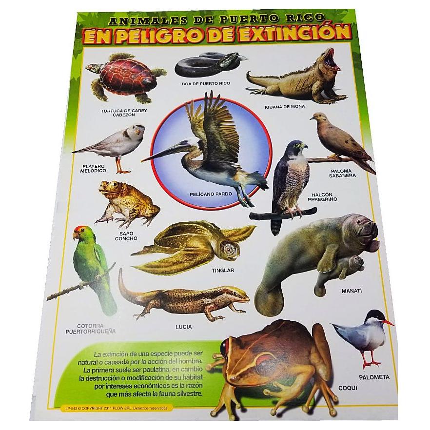 CARTEL ANIMALES EXTINCION PR
