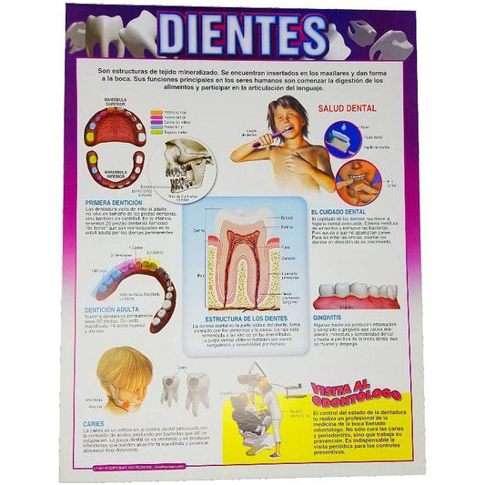 CARTEL LOS DIENTES