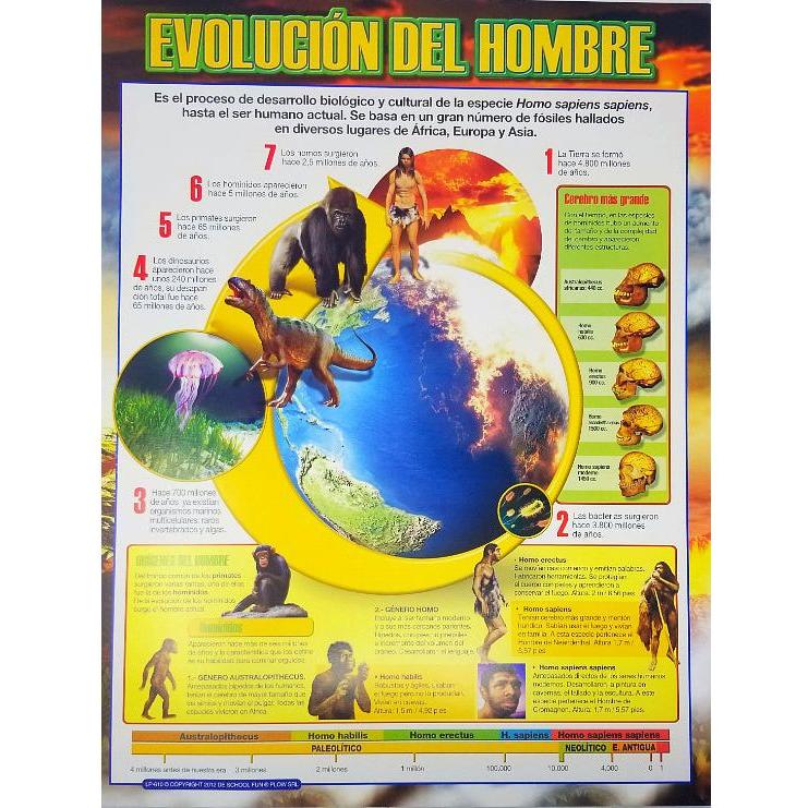 CARTEL EVOLUCION DEL HOMBRE