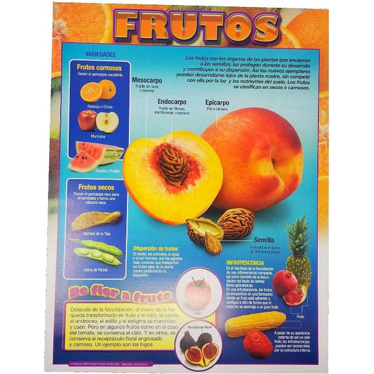 CARTEL LOS FRUTOS