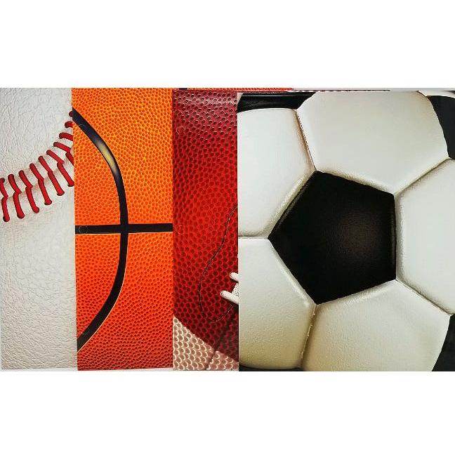 PORTFOLIO SPORTS
