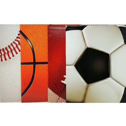 PORTFOLIO SPORTS
