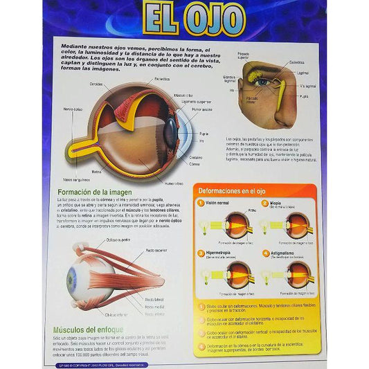 CARTEL EL OJO