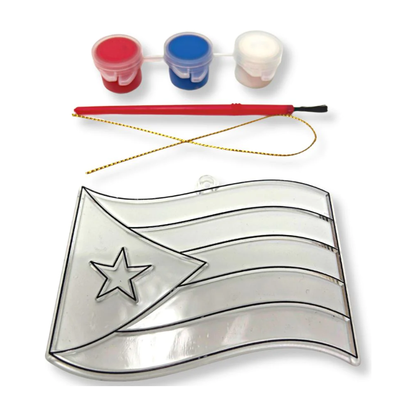 PR Flag Painting Kit