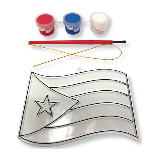 PR Flag Painting Kit