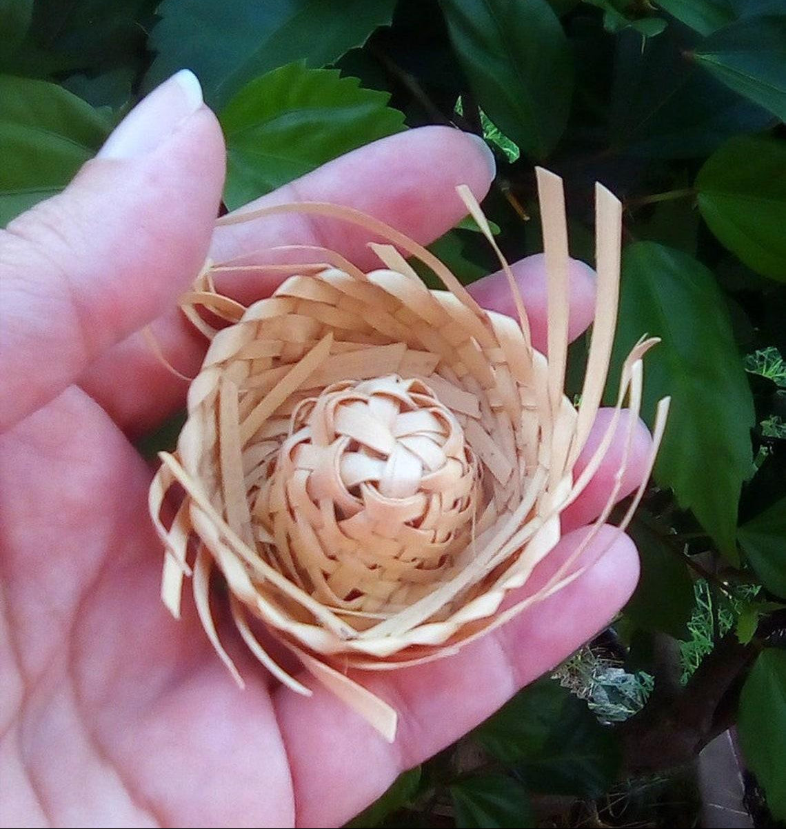 Pava Miniatura