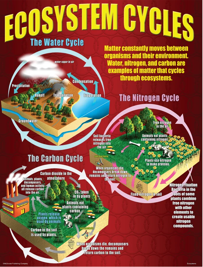 Ecosystems Poster Set