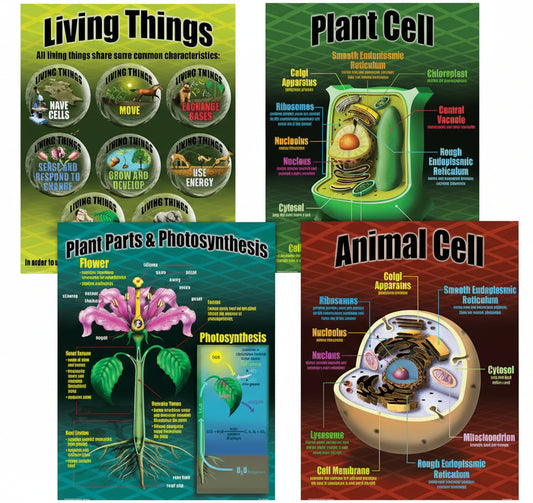 Life Science Poster Set