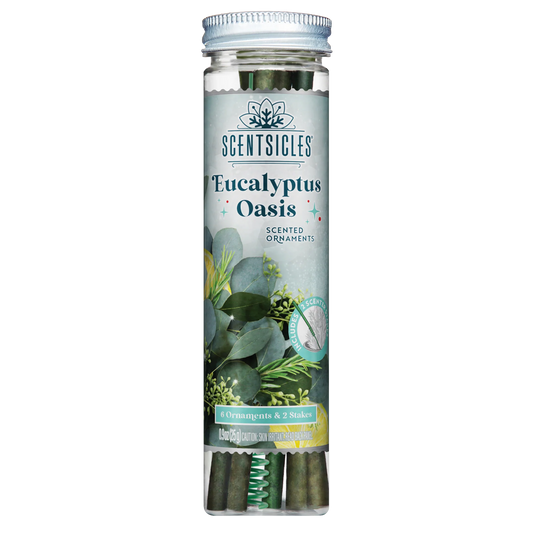 Scentscicles Scented Ornament Stick | Eucalyptus Oasis | 6CT Bottle