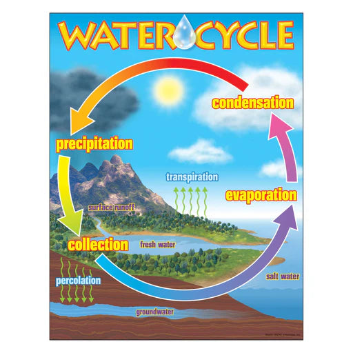 THE WATER CYCLE LEARNING CHART