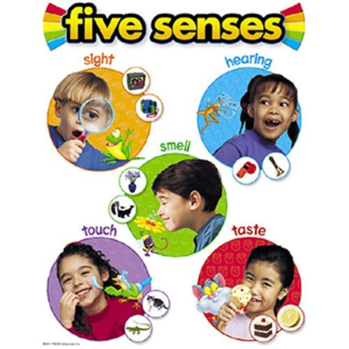 FIVE SENCE CHART