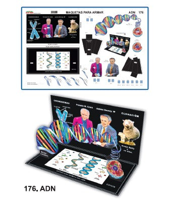 MODELO MAQUETA ADN