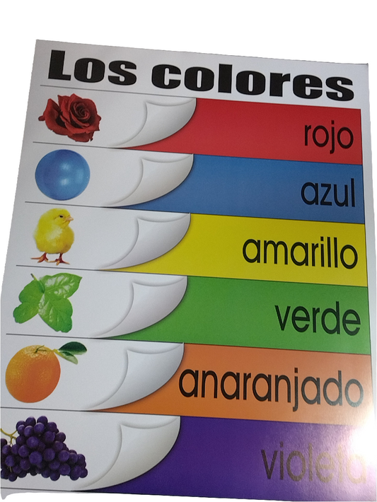 Cartel Los Colores