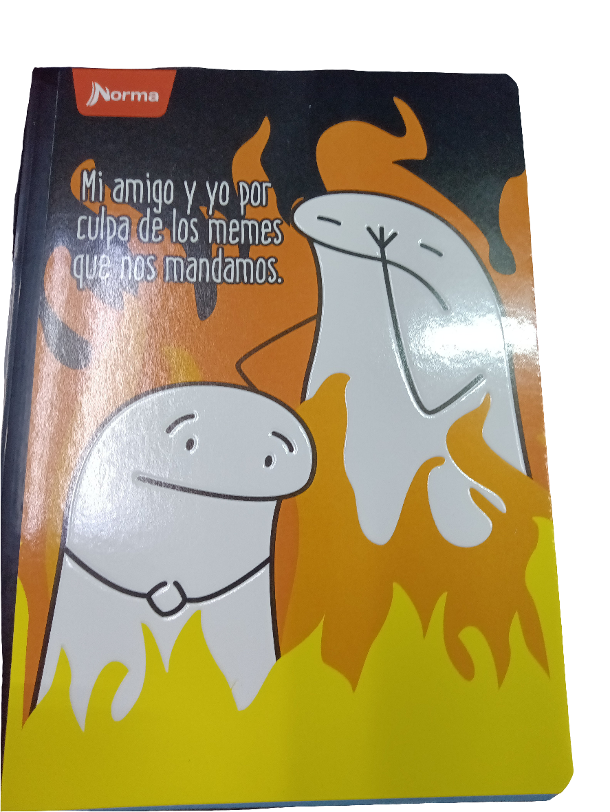 LIBRETA COSIDA MEMES