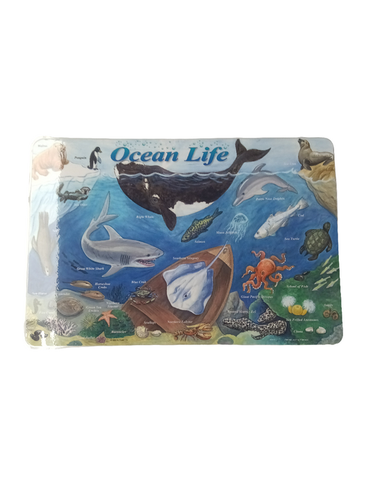 OCEAN LIFE PLACEMAT 17.5''X12''