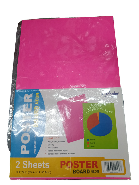 SP CARTULINA FLOURECENTE 14 X 22 (PQ.2)