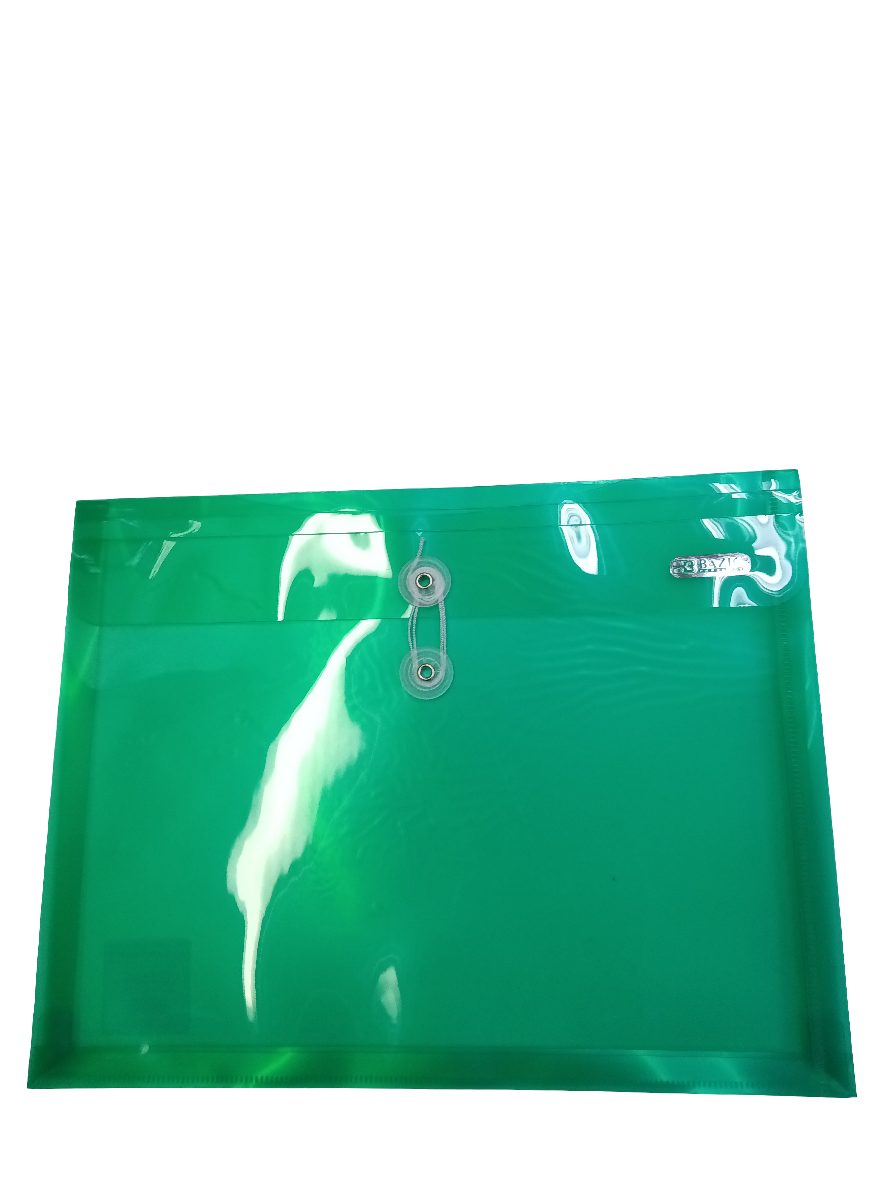 ASST SIDE LOADING LETTER SIZE STRING ENVELOPE