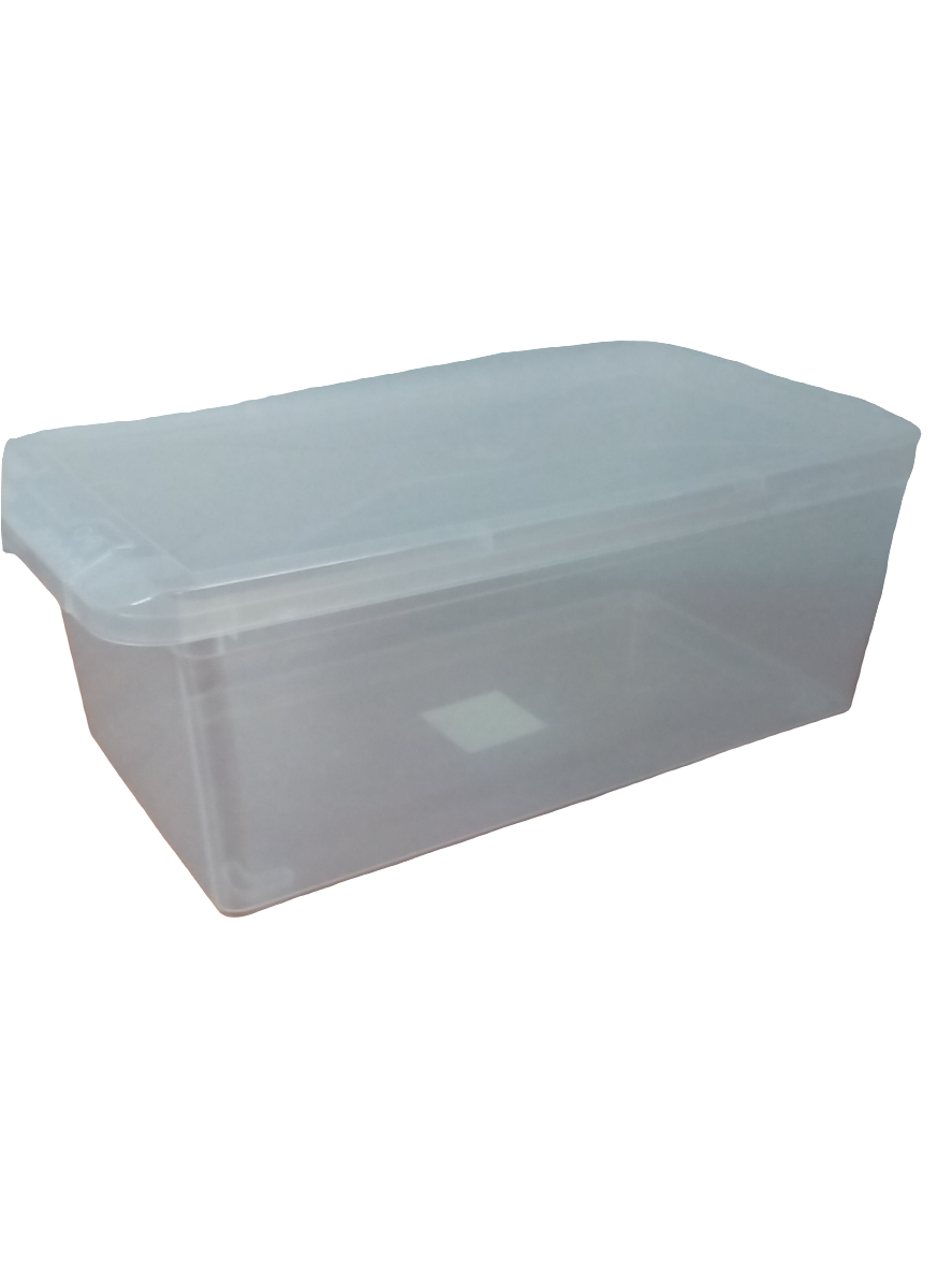 SWA CAJA PLASTICA GDE (CAJA ZAPATO) #6287