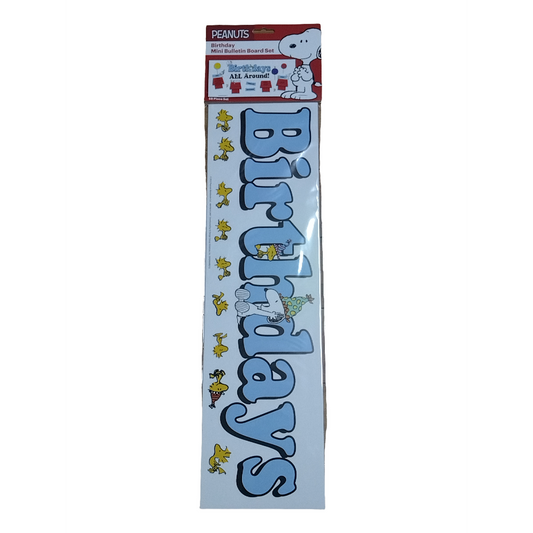 PEANUTS® BIRTHDAY MINI BULLETIN BOARD SET