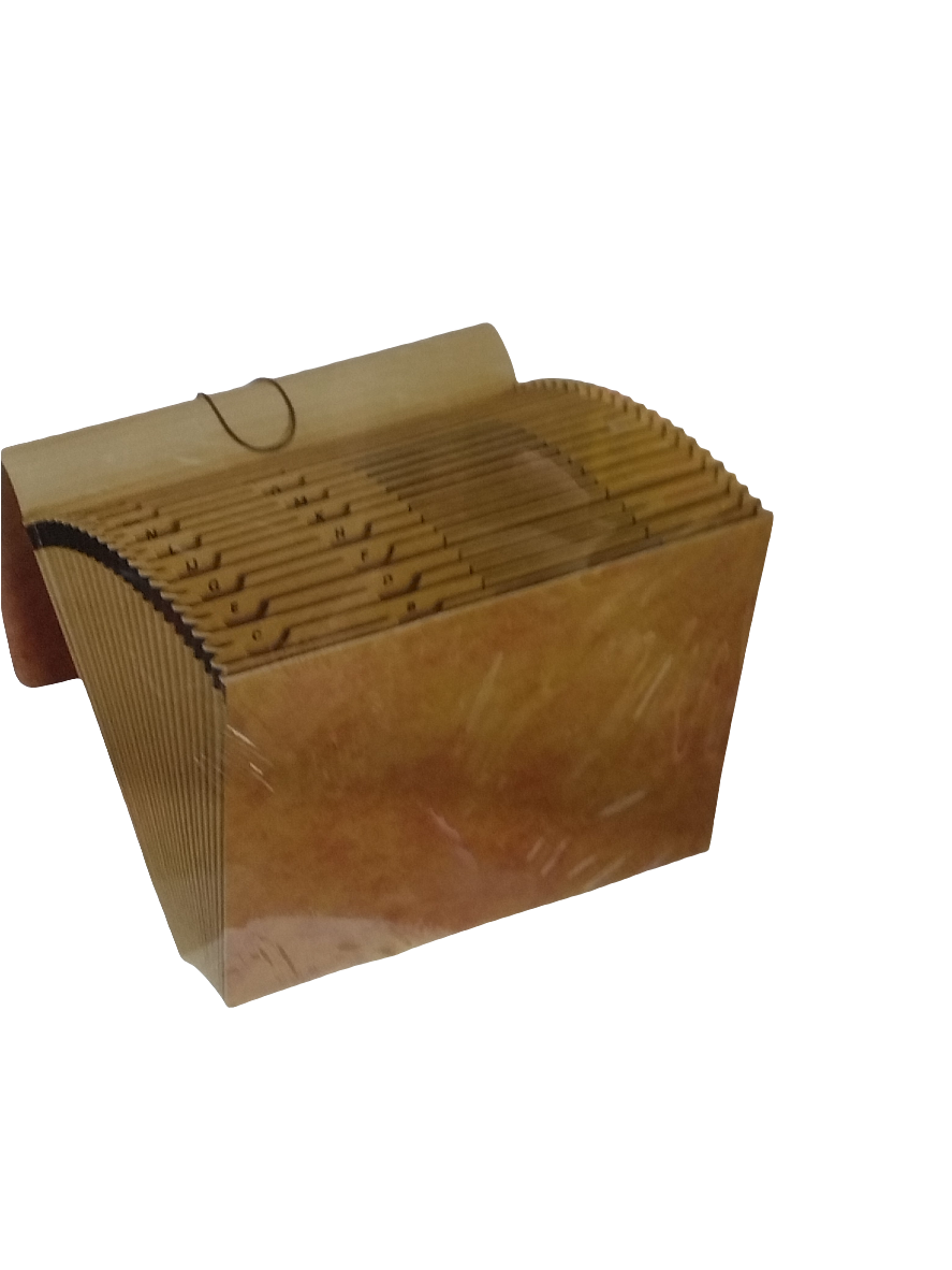 Expanding File Alphabetic Letter 21 -pocket