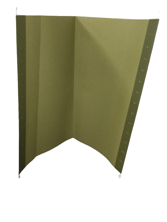 Hanging Folder | LGL STD | Green | 25 Box