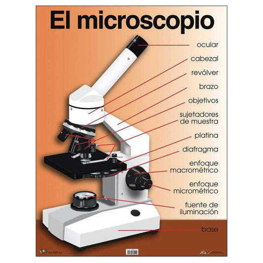 CARTEL EL MICROSCOPIO