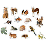 PETS: PHOTOGRAPHIC SHAPE STICKERS 90PCS