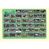 HORSES PLACEMAT 17.5''X12''