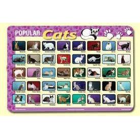 CATS PLACEMAT 17.5''X12''