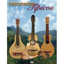 CARTEL INSTRUMENTOS TIPICOS