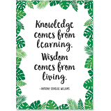 KNOWLEDGE COMES FROM LEARNING PALM PARADISE INSPIR