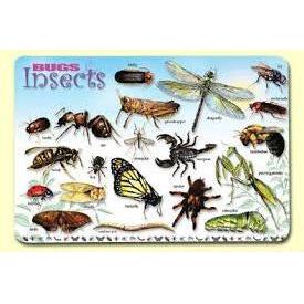 BUGS, INSECTS AND ARACHNIDS PLACEMAT 17.5''X12''