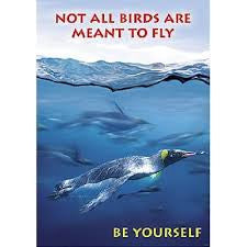 POSTER NOT ALL BIRDS ARE