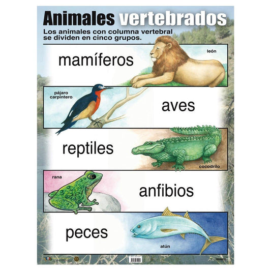 CARTEL ANIMALES VERTEBRADOS