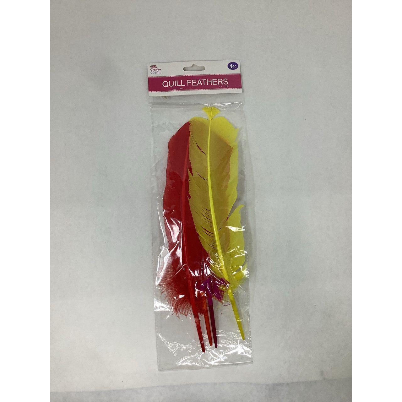 QUILL FEATHER 10"-12" 4PC MIXED HOT