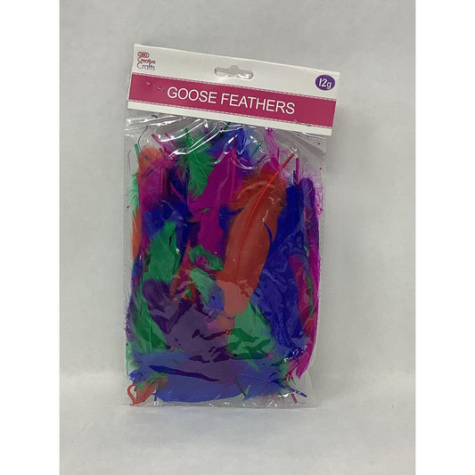 GOOSE FEATHERS 3"-5"-12G MIXED HOT