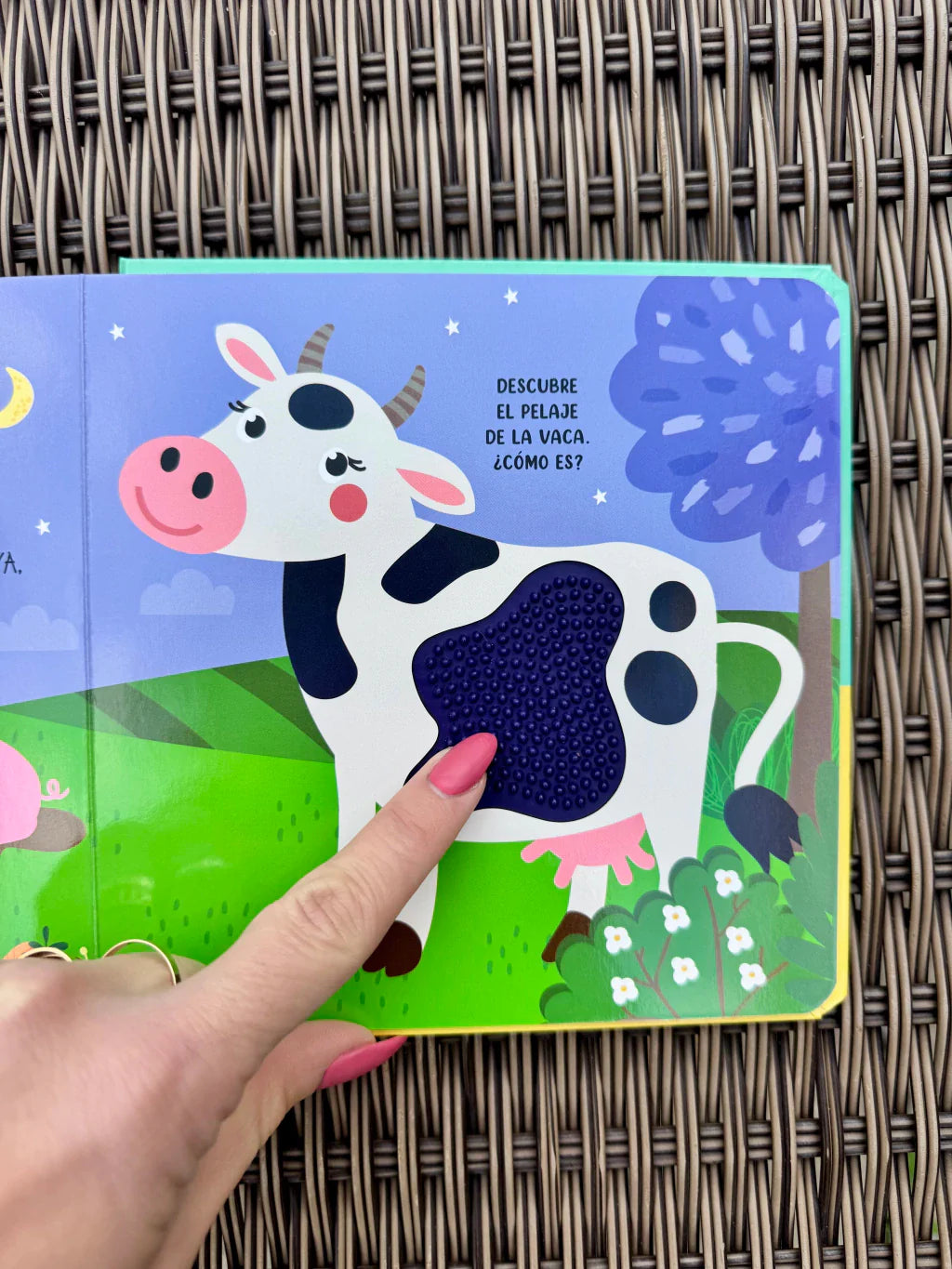 Granja | Safari de Texturas