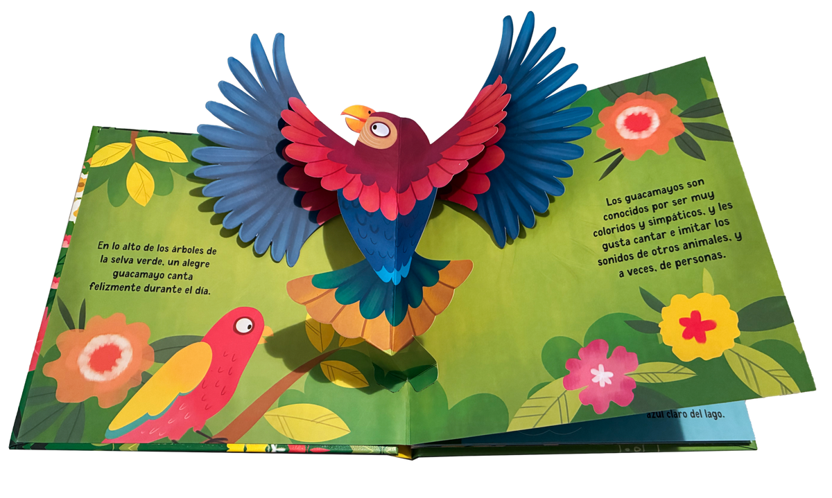 Aves | Pop Ups en Movimiento