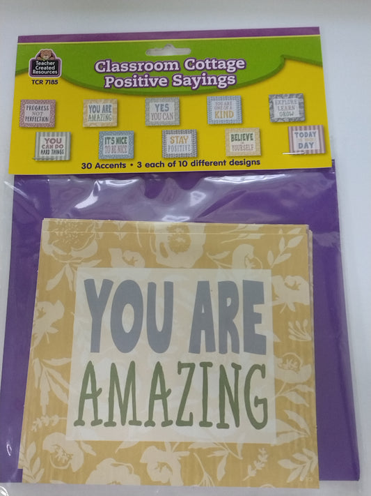 CLASSROOM COTTAGE POSITIVE SAYINGS ACCENTS 30PCS