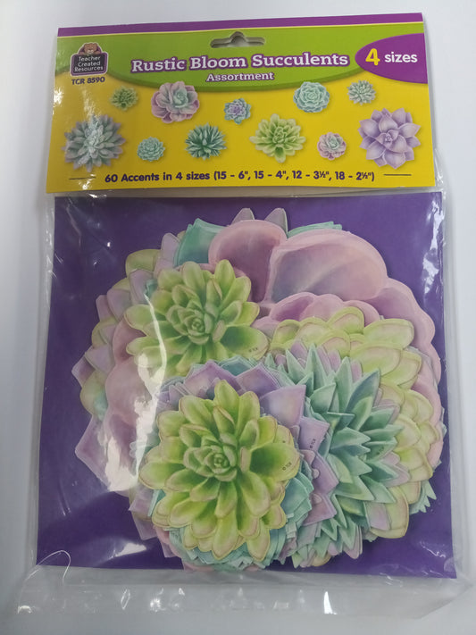 RUSTIC BLOOM SUCCULENTS