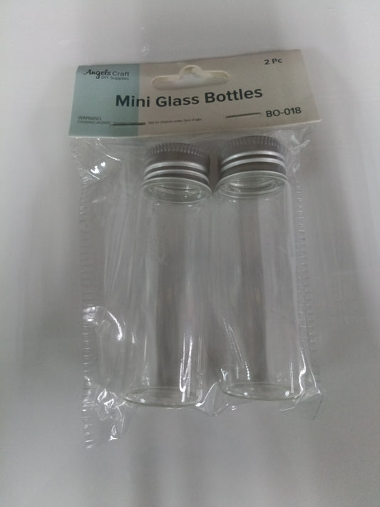 GLASS BOTTLE CONTAINER W/ SCREW LID 2CT SILVER